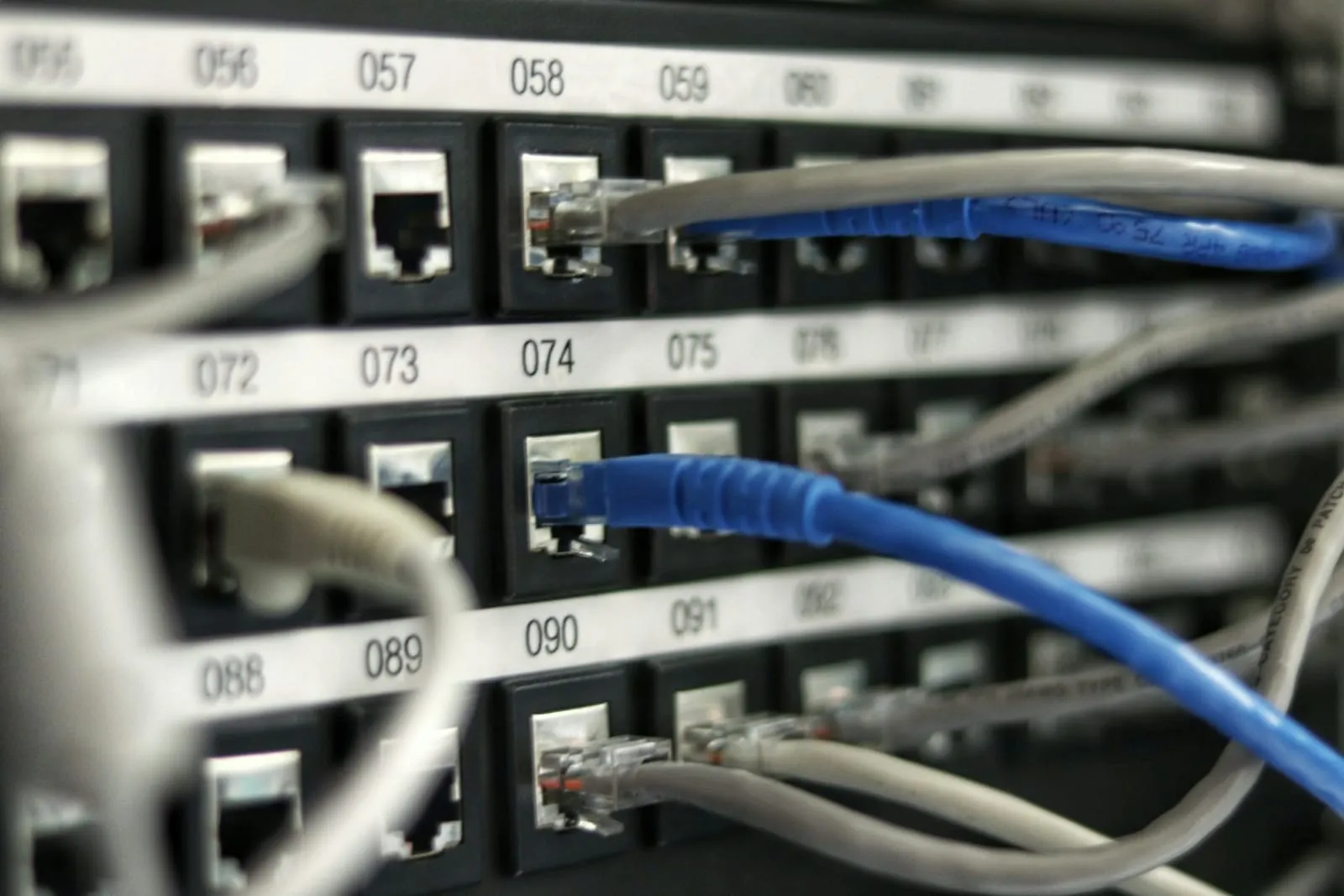 Close-up of a labelled network patch panel with connected cables.
